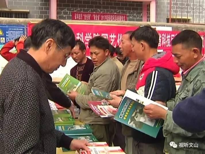 澳门三期内必开三肖仔细释义、解释与落实、科学解答解释落实